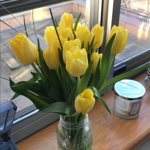 Meet your Posher, Anna maria